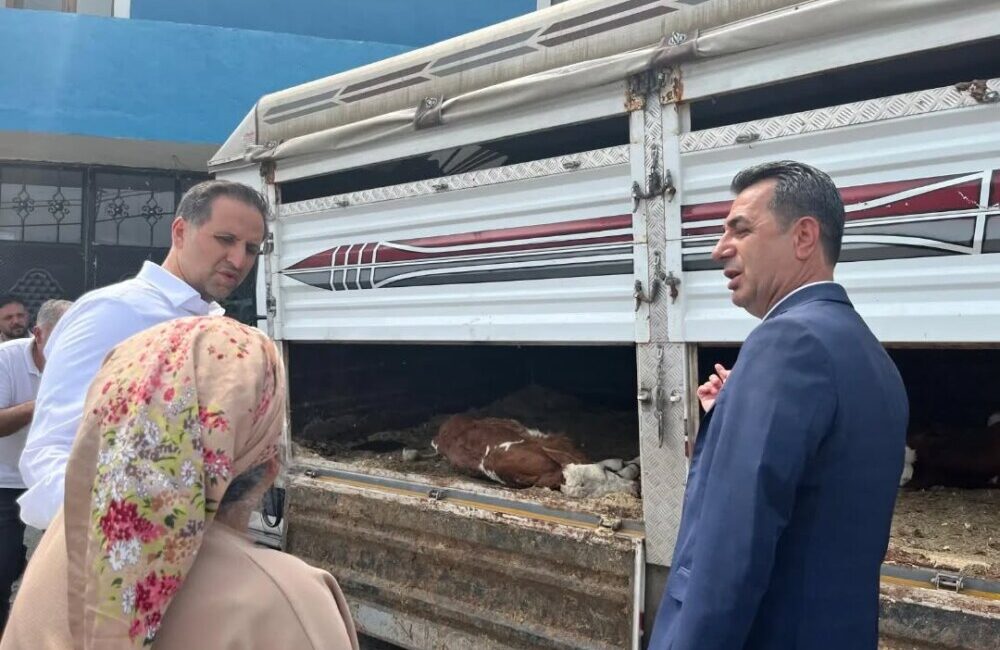 *HAYVAN OLMAYAN TİGEM’DE ŞAP YOKMUŞ! *Şap’tan 4 milyar dolarlık bir kayıp!.. *Nebioğlu derneği yer aldı..