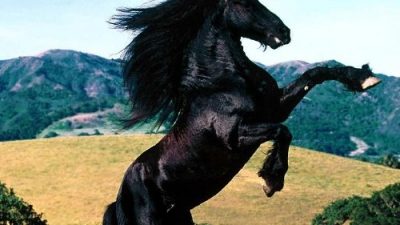 Son yerel seçimlerde yereldeki iktidarını