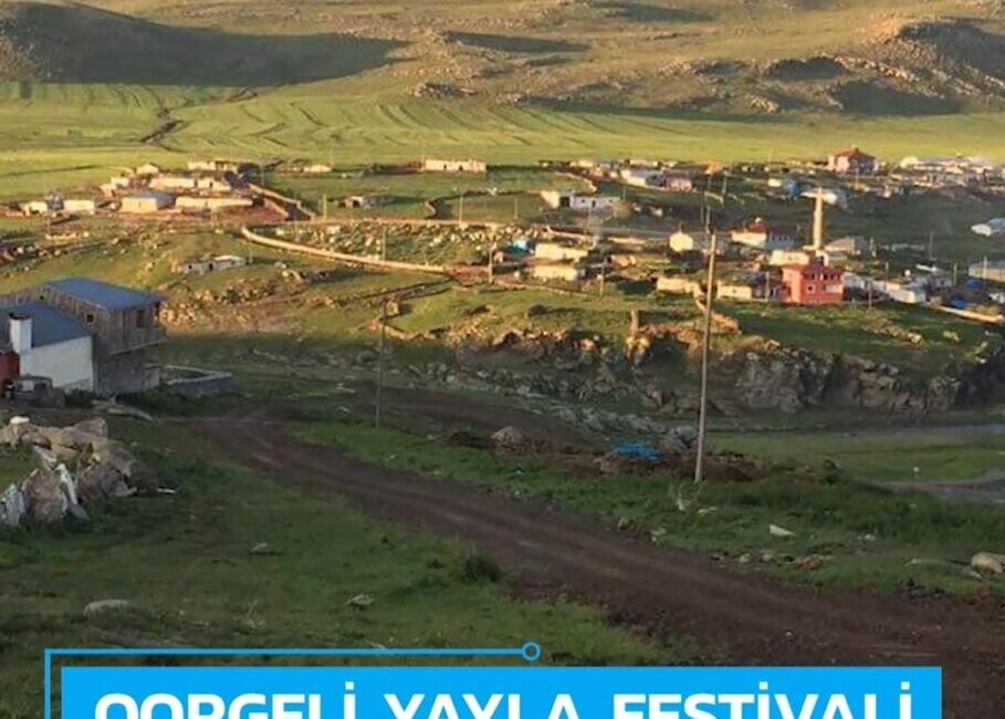 Qorgelili Arılar sizi Ardahan  balına davet ediyor..