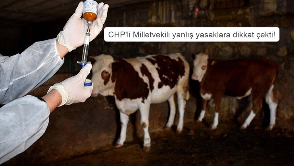 Özgür Erdem İncesu: Yasaklar daha da mağdur etmiştir!..