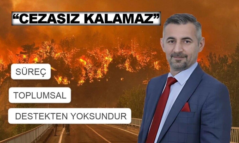 DYP GİK Üyesi İlkay Şimşek’ten YANAN ORMANLAR KADAR YAKICI OLAN SÜREÇ DEĞERLENDİRMESİ..