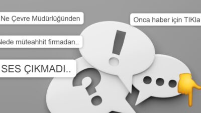ASALAETİ DE ALAN MÜDÜRÜ: O ÇEVRE MAHKEMESİ NE OLDU?