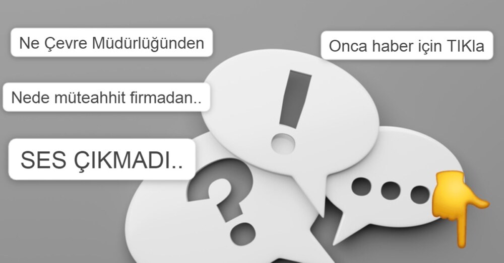 ASALAETİ DE ALAN MÜDÜRÜ: O ÇEVRE MAHKEMESİ NE OLDU?