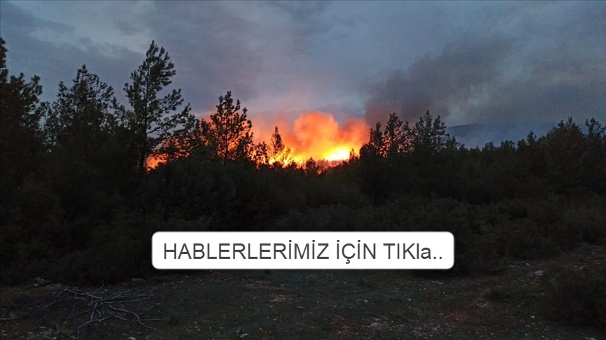 VALİLİK YASAK VAR DESEDE TAKAN YOK!