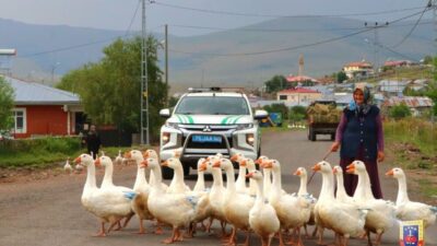 KESİLMEYE HAZIRLANAN ARDAHAN KAZLARI, JANDARMA TRAFİK’İ KESTİLLER, BOZUK YOLLARI HATIRLATTILAR!
