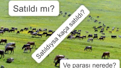 ÇÖLPENEK’İN YAYLASI AYRAN NİYETİNE Mİ SATILDI?