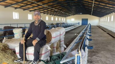 ŞAP’IN KIRIP, GEÇİRDİĞİ  SELFİYECİ TARIM MÜDÜRÜNE ASALET ÖDÜLÜ!