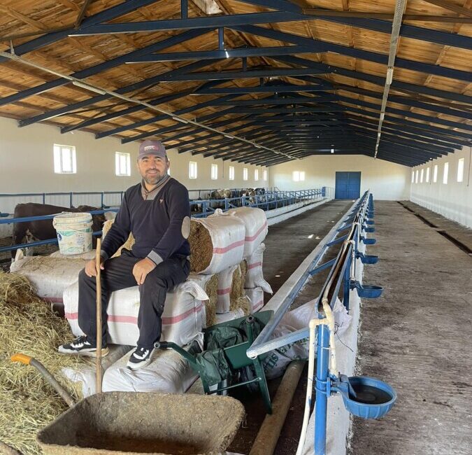 ŞAP AHIRLARI YARI YARIYA BOŞALTTI!