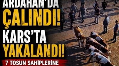 yazıyorsam sebebi var/fakir yılmaz
*KIRMIZILI VİAGRA