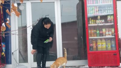 yeni yıl mesajlarınız için gazetelerimizin