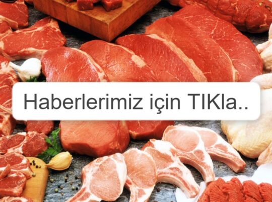 *Etçilerden eğitim vakfı! *Kızıl gezegen yolu! *SARDAFED ÇİFTÇİ’YE DAHA ÇOK DESTEK İSTEDİ..