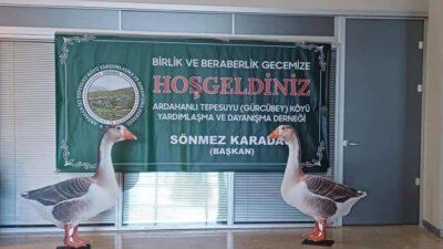 gazetecilerle gündem pazar günü saat: