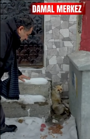 **YAZIYORSAM SEBEBİ VAR/Fark Yılmaz 
**Akıllı