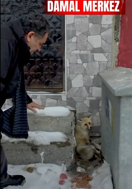 **YAZIYORSAM SEBEBİ VAR/Fark Yılmaz 
**Akıllı