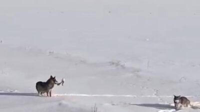 GAZETECİLERLE GÜNDEM PAZAR GÜNÜ SSAAT: