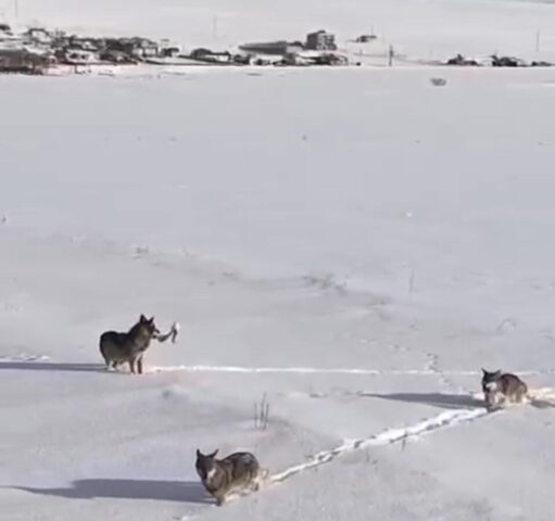 GAZETECİLERLE GÜNDEM PAZAR GÜNÜ SSAAT:
