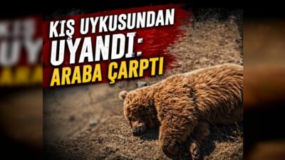 BÖLGENİN İLK E-GAZETELERİ www.sonvilayet.com
yazıyorsam sebebi