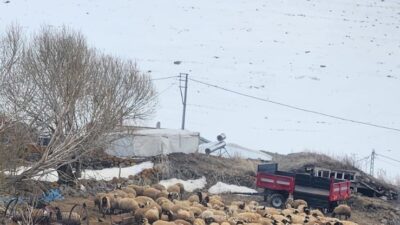 'Yerelde Ulusa Gazetecilik..' diyen Gazetelerimizin