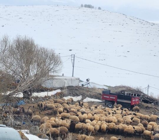 'Yerelde Ulusa Gazetecilik..' diyen Gazetelerimizin