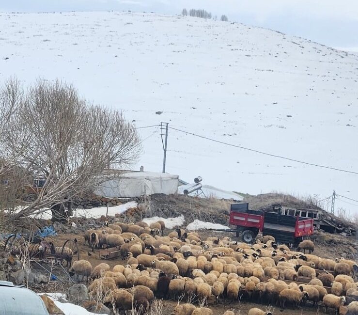'Yerelde Ulusa Gazetecilik..' diyen Gazetelerimizin