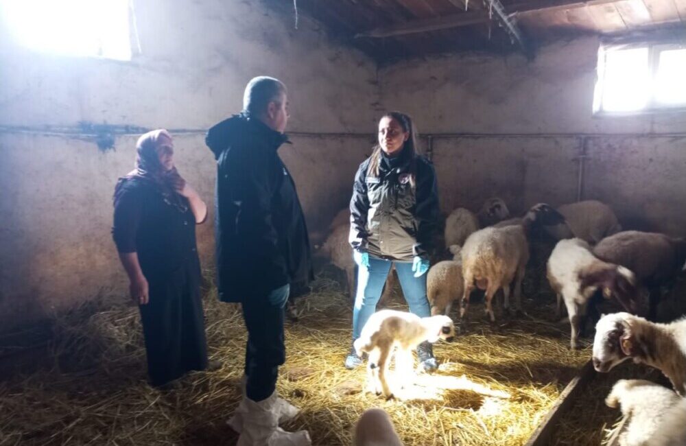 “Buzağılar Ölmesin İşletmelerimiz Şenlensin” dense de bir türlü şenlenmiyor!