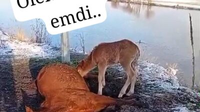 YAZIYORSAM SEBEBİ VAR /Fakir Yılmaz