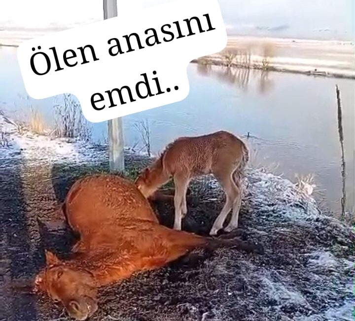 YAZIYORSAM SEBEBİ VAR /Fakir Yılmaz