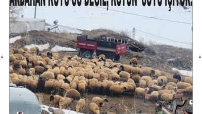 BÖLGENİN İLK E-GAZETELERİ www.sonvilayet.com
yazıyorsam sebebi
