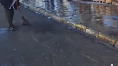 GAZETECİLERLE GÜNDEM BU PAZAR.. Ellerinden