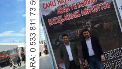 Ardahan’ın kurbanlıkları İstanbul’da..