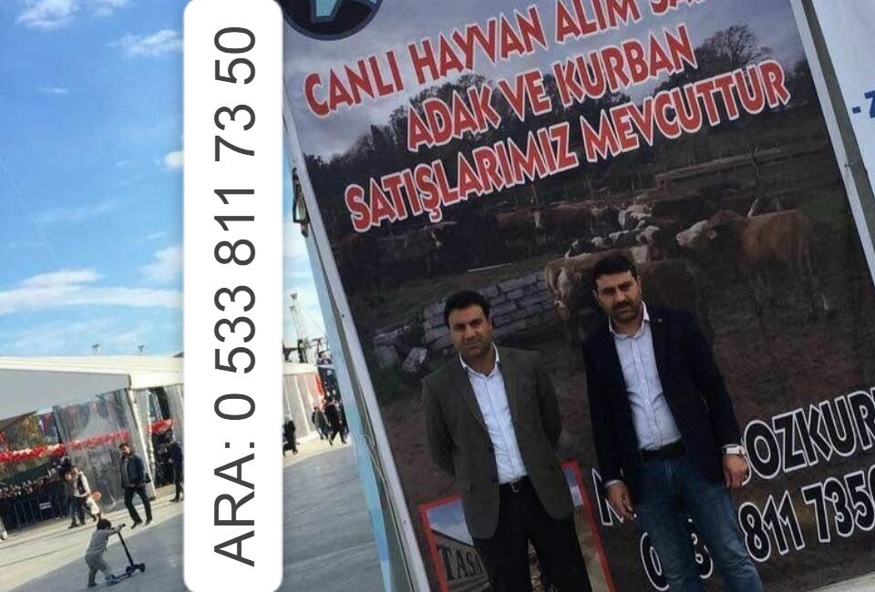 REKLAMLARINIZLA BİRLİKTE GAZETECİLERLE GÜNDEM pazar