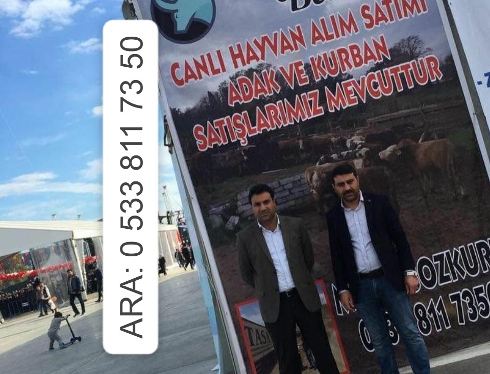REKLAMLARINIZLA BİRLİKTE GAZETECİLERLE GÜNDEM pazar