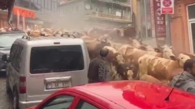 TEMPO TV’de canlı olarak yayınlanan