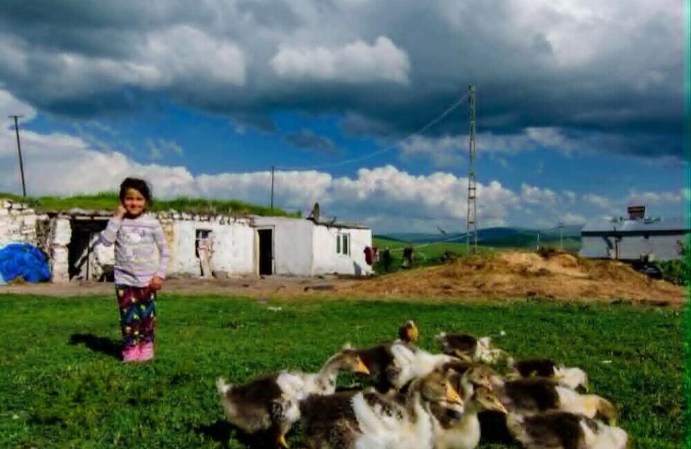 ARDAHAN DENİİLİNCE EN ÇOK TIKLANAN