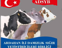 TEMPO TV’de canlı olarak yayınlanan