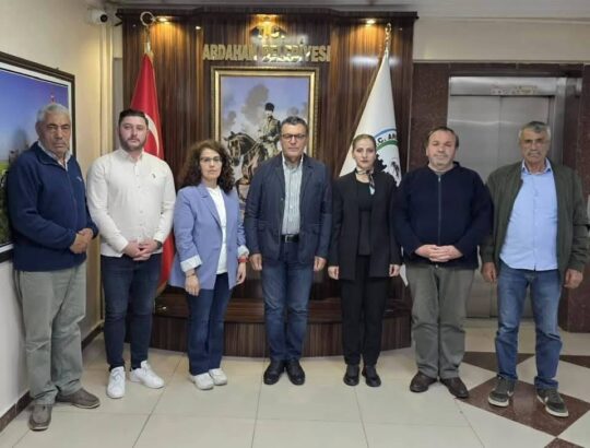 Mesajlarınız ve reklamlarınızla haber sitelerimiz,