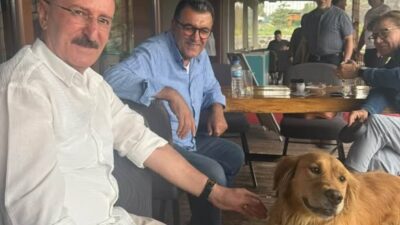 Mesajlarınız ve reklamlarınızla haber sitelerimiz,