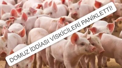   SESLİ HABERLERLER İÇİN ARDAHAN