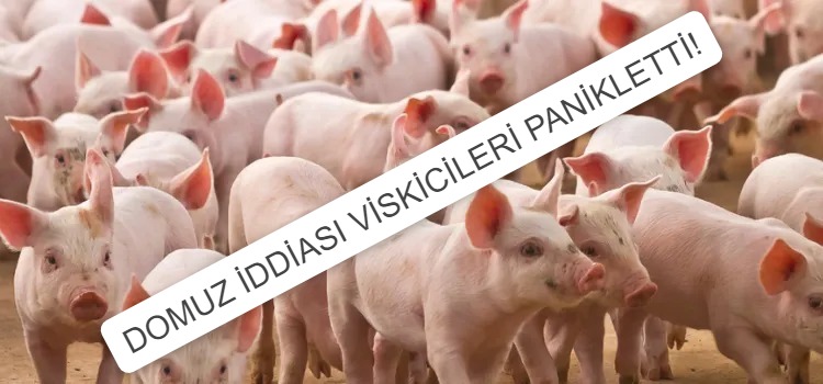   SESLİ HABERLERLER İÇİN ARDAHAN