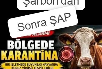 Haberlerimizi sesli olarak dinlemek için
