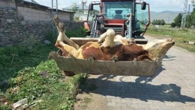 Haberlerimizi sesli olarak dinlemek için