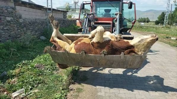 Haberlerimizi sesli olarak dinlemek için