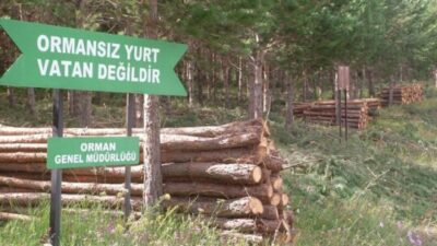 HABERLERİMİZİ SESLİ DİNLEMEK İÇİN ARDAHAN
