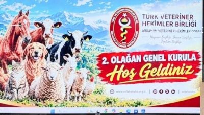 Reklam ve Mesajlarınızla Daha Özgür