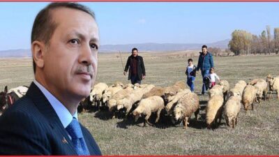 Haberlerimizi sesli olarak dinlemek için